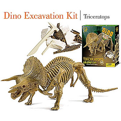 Dino Excavation Kit Triceratops Skeleton