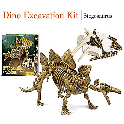 Dino Excavation Kit Stegosaurus Skeleton