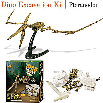 Dino Excavation Kit Petranodon Skeleton