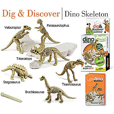 Dig  Discover Dino Skeleton