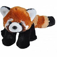 Red Panda Stuffed Animal - 8"