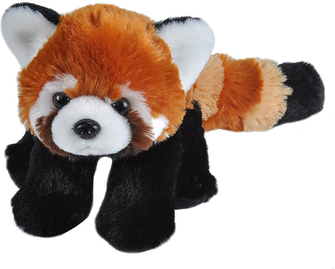 Red Panda Stuffed Animal - 8