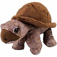 Tortoise Stuffed Animal - 8"