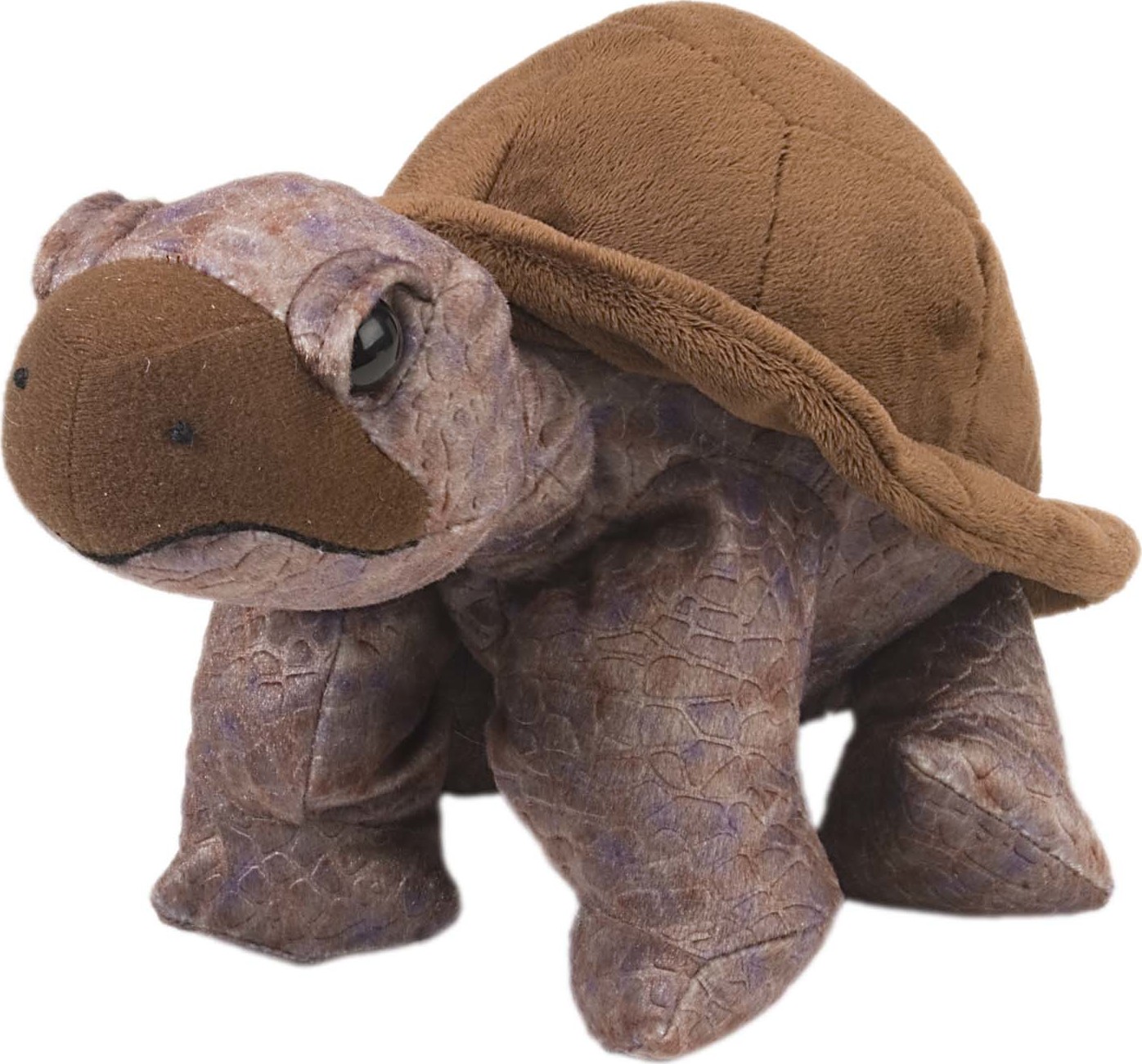 giant stuffed tortoise