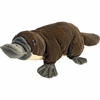 Platypus Stuffed Animal - 12"