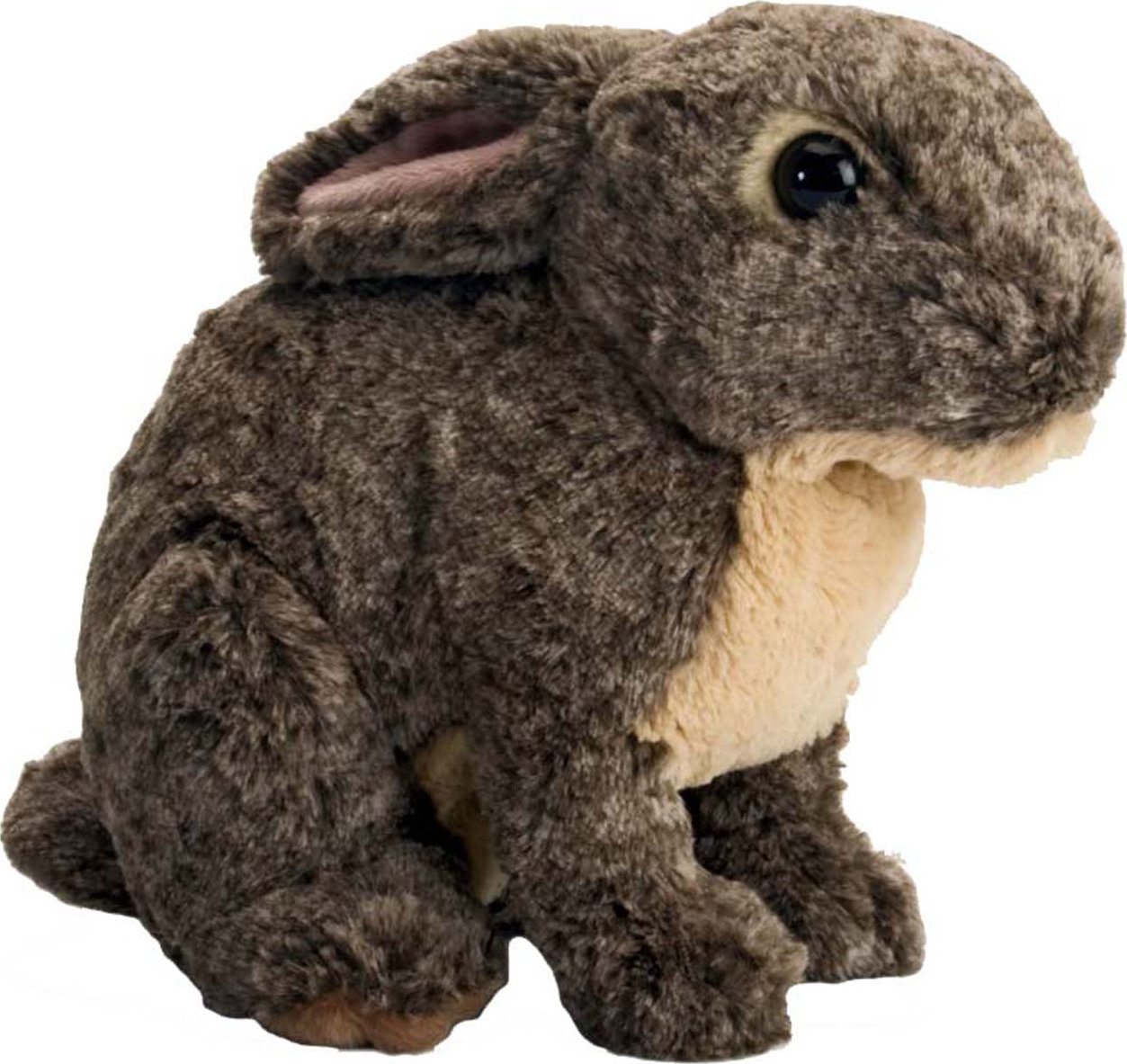 Wild hot sale republic rabbit