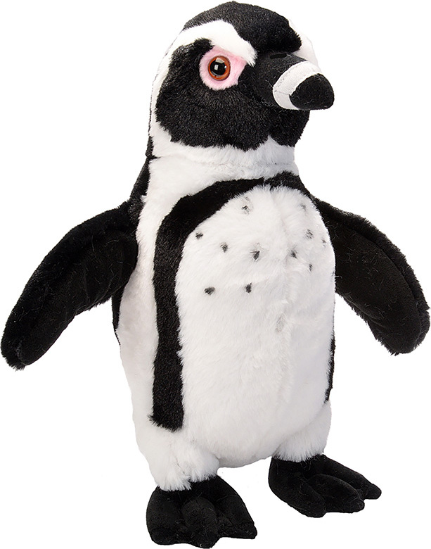 Black Footed Penguin Stuffed Animal - 12" - Kite and Kaboodle