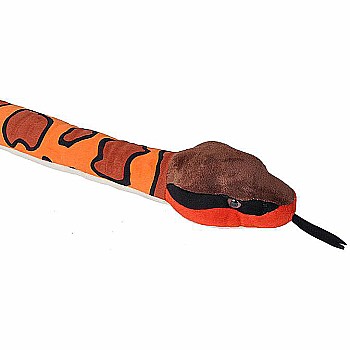 Eastern Cottonmouth Snake - 54"