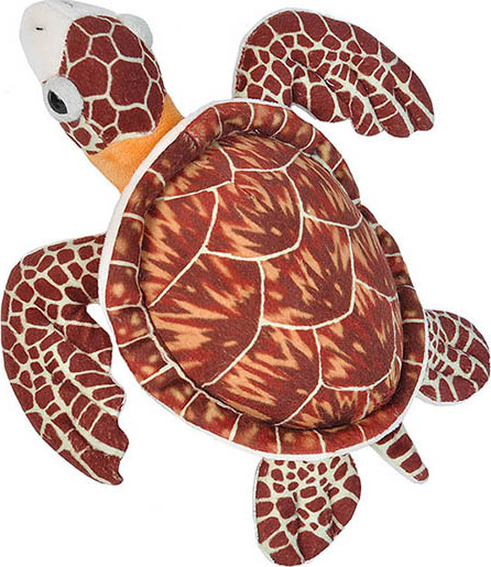 sea turtle stuffed