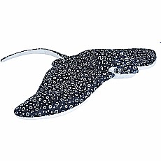 Eagle Ray 15"