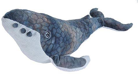 whale stuffed animal