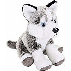Husky Stuffed Animal - 12"