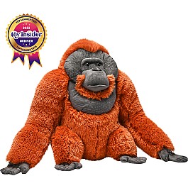 Artist Collection - Male Orangutan