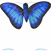 Butterflies Blue Morpho Butterfly Stuffed Animal - 7"