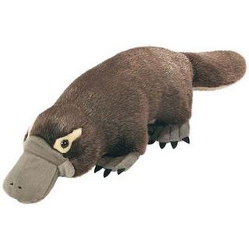 wild republic platypus