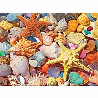 Beach Shells - 500 Piece - White Mountain Puzzles