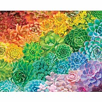 Succulent Rainbow - 1000 Piece - White Mountain Puzzles