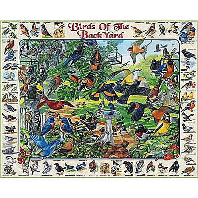 Birds of the Back Yard (1000 pc) White Mountain 
