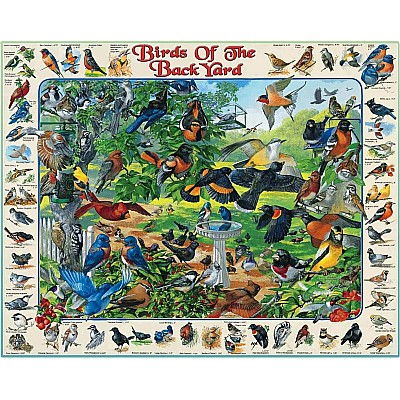 Birds of the Back Yard - 1000 Piece - White Mountain Puzzles