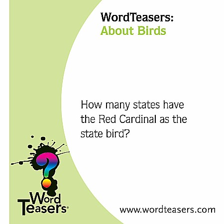 WordTeasers: About Birds