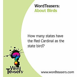 WordTeasers: About Birds