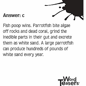WordTeasers: American Beach Trivia