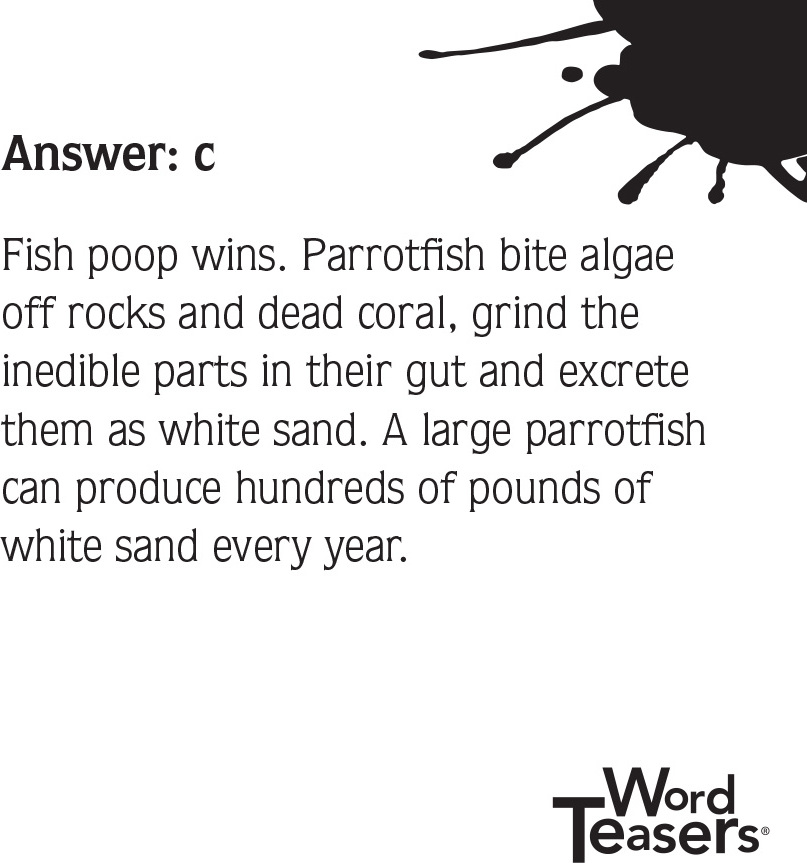 WordTeasers: American Beach Trivia