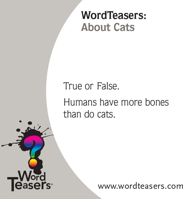 WordTeasers: About Cats