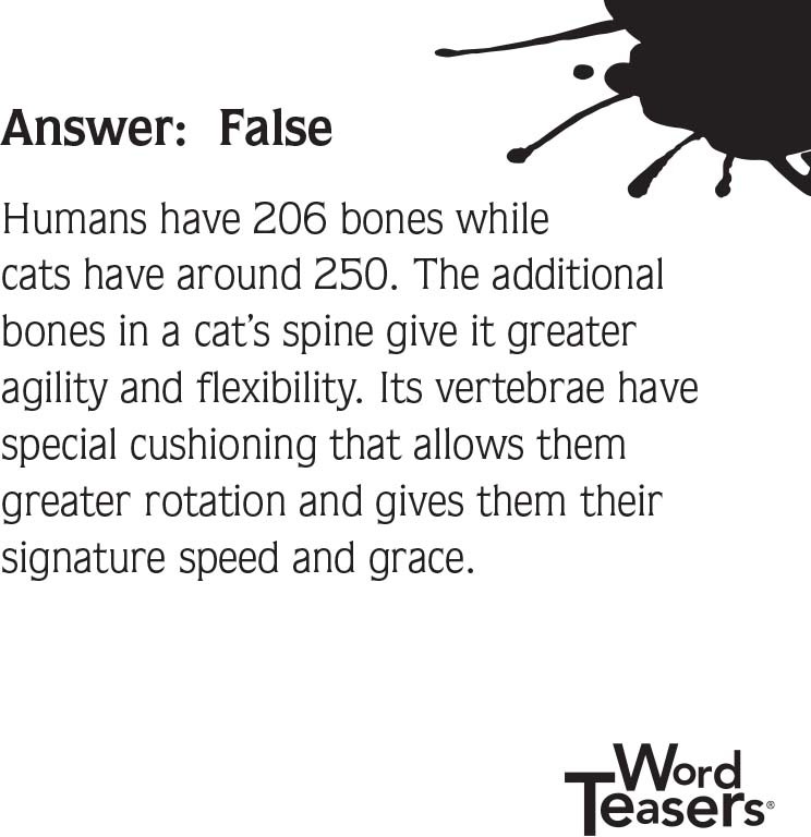 WordTeasers: About Cats