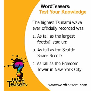 WordTeasers: Test Your Knowledge
