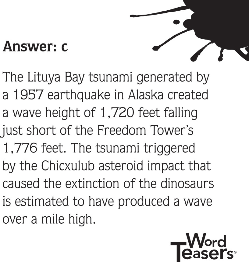WordTeasers: Test Your Knowledge