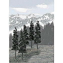 6' - 8' Conifer Green Value Pack Ready Made Trees