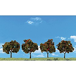 2"-3" Apple Trees