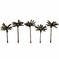 3"-3 3/4" SM. Palm Trees