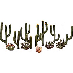 1/2"-2 1/2" Cactus Plants