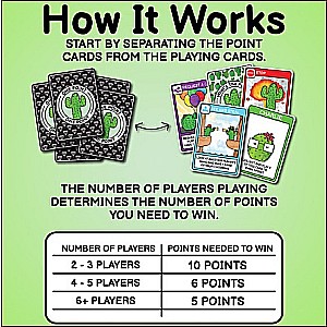 What’s The Point? The Cactus Card Game