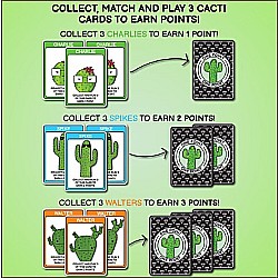 What’s The Point? The Cactus Card Game