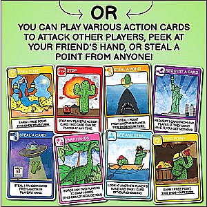 What’s The Point? The Cactus Card Game