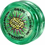 Brain