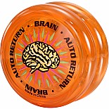 Brain