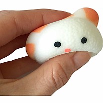 Squishy Sushi