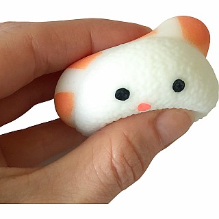 Squishy Sushi